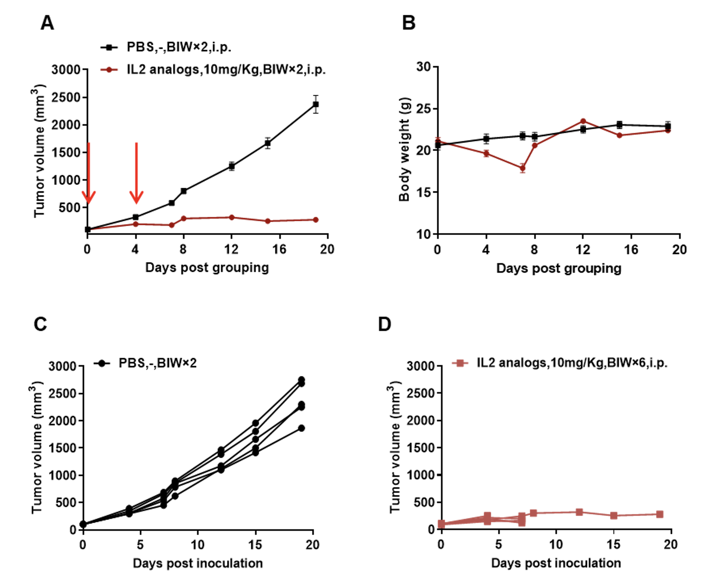Antitumor activity of IL-2 analogs (provided by the client) in B-hIL2RB/hIL2RG mice.