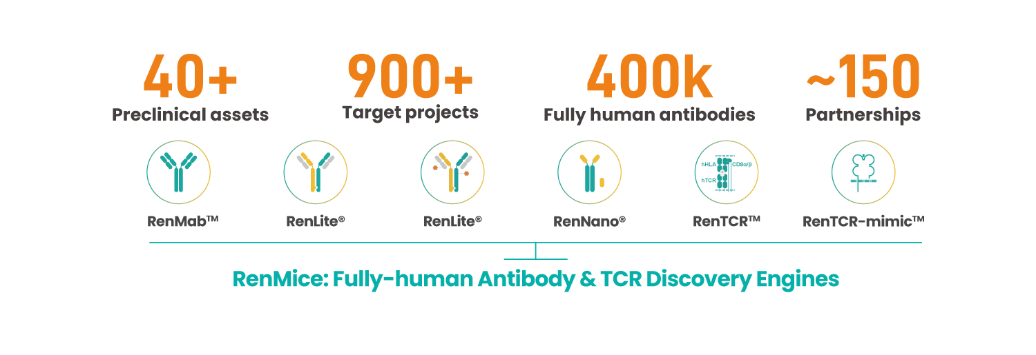 RenMice: Biocytogen's fully human antibody and TCR discovery engines.