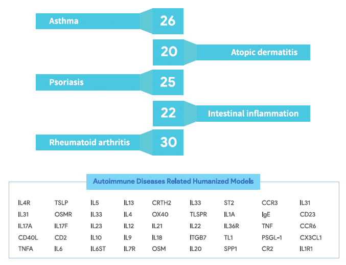 Humanized mice for autoimmune and inflammatory diseases, such as asthma, atopic dermatitis, psoriasis, intestinal inflammation, and rheumatoid arthritis.