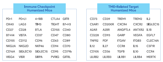 humanized mice for oncology research, targeting immune checkpoints and TME-related targets