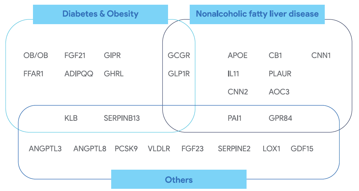 humanized mice for metabolic disorders, including diabetes and obesity, nonalcoholic fatty liver disease, and others.