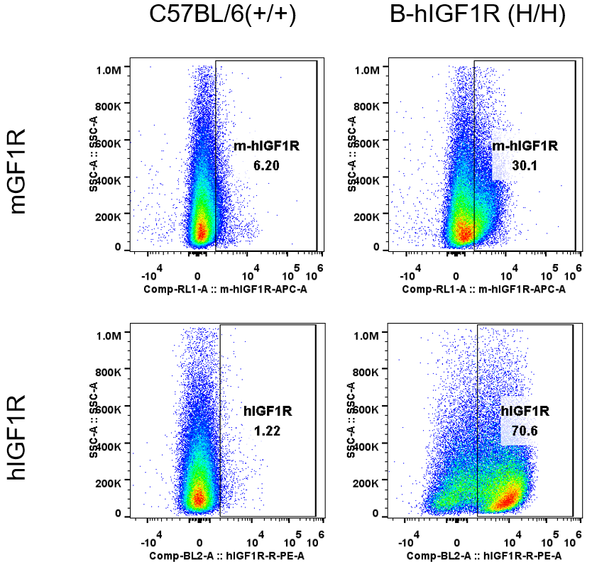 Example analysis of strain-specific IGF1R expression in homozygous B-hIGF1R mice by flow cytometry.