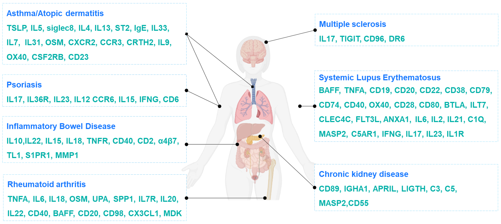 Biocytogen’s humanized mice for autoimmune and inflammatory diseases