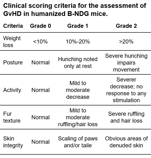 Clinical scoring criteria for GvHD in mouse models