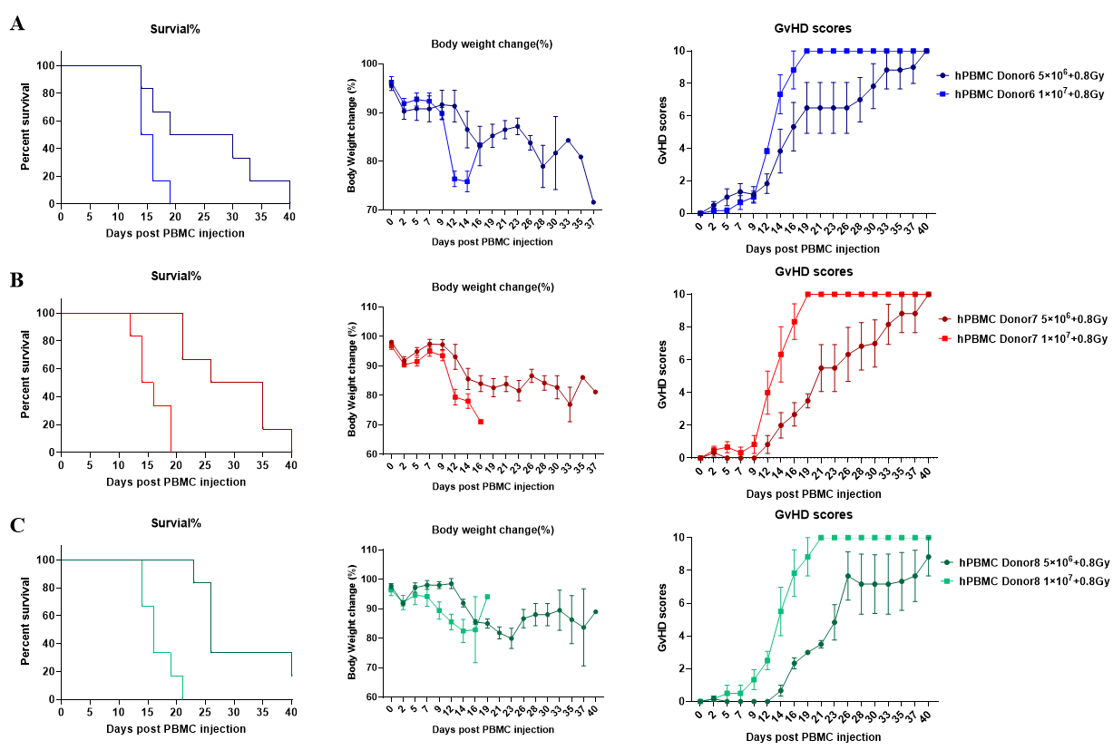 Effects of different PBMCs and injection volumes on GvHD model development