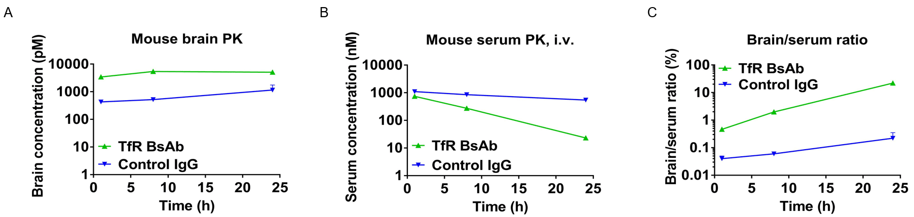 B-hTFR1 mice received intravenous injections of control IgG or anti-human TFR1 BsAbs.