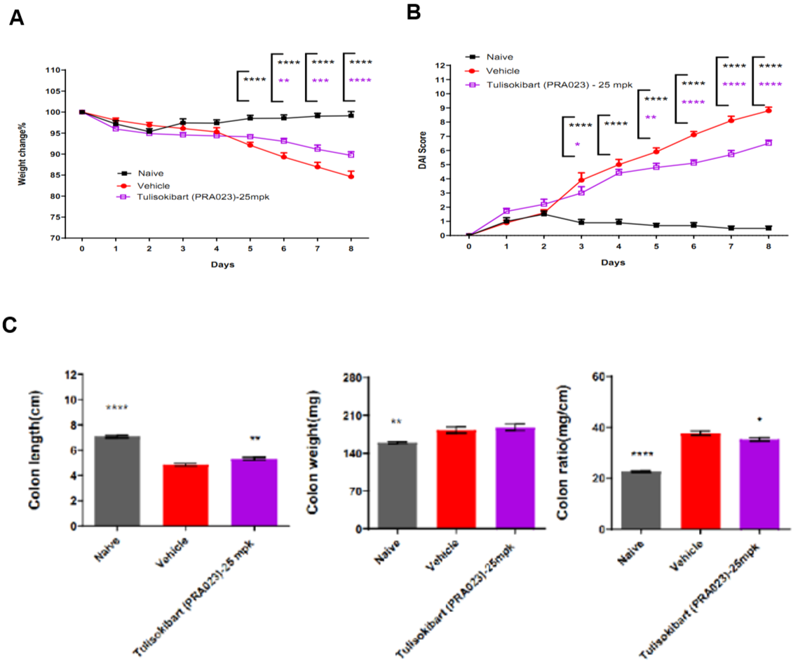 DSS-induced acute colitis in B-hTL1A mice