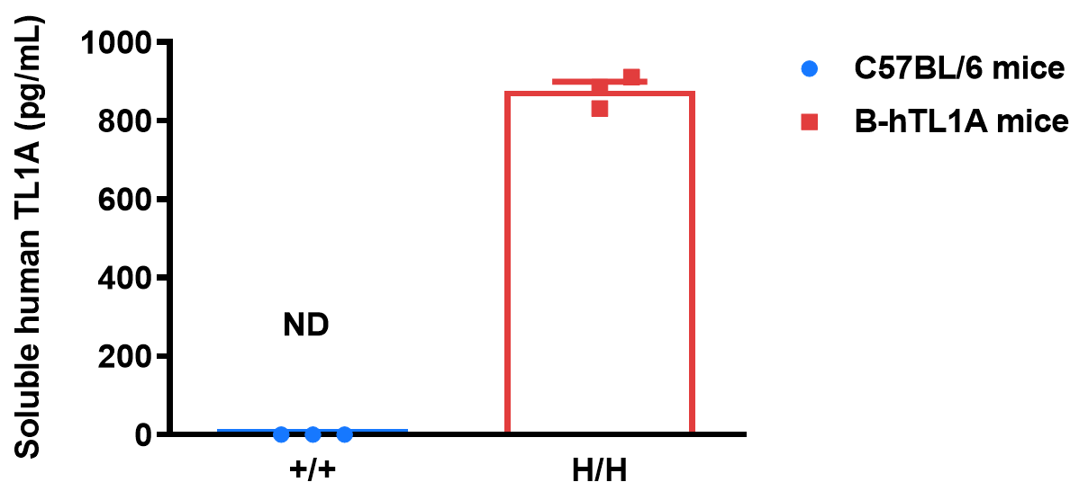 Soluble human TL1A expression in B-hTL1A mice
