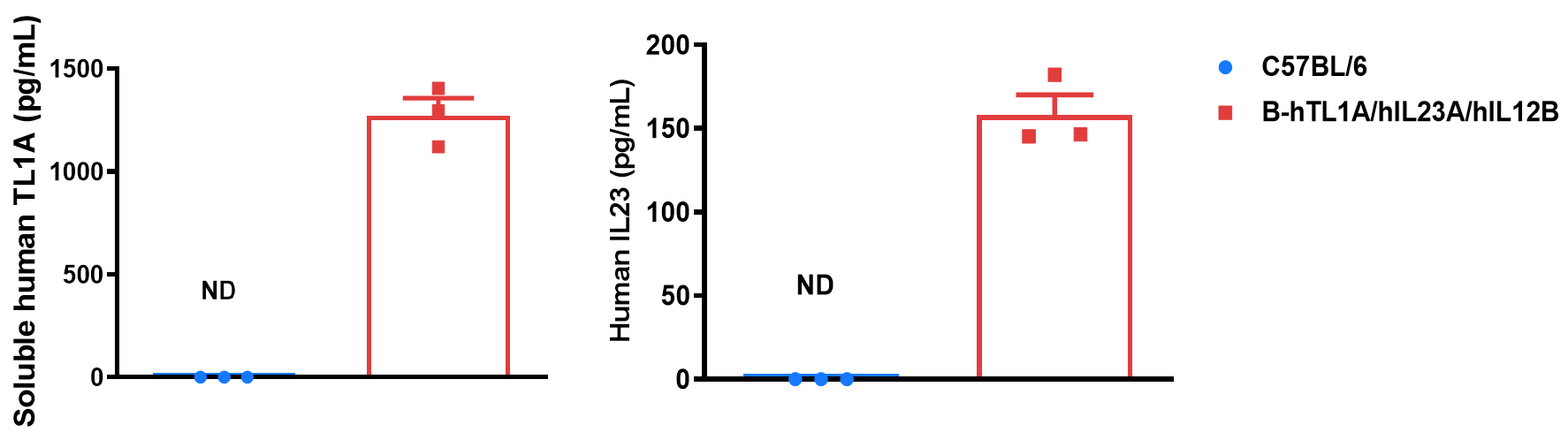 Soluble human TL1A and IL-23 were detected exclusively in the supernatant of bone marrow-derived dendritic cells (BMDCs) stimulated from homozygous B-hTL1A/hIL23A/hIL12B mice, with no detection in wild-type mice.