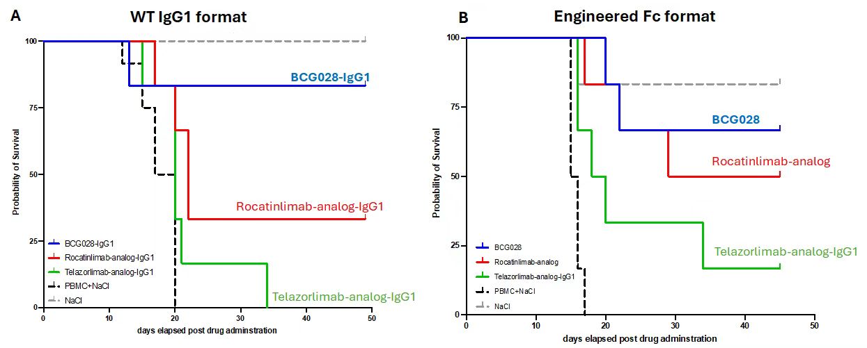 Superior in vivo efficacy of BCG028-IgG1 and BCG028 in a mouse GvHD model
