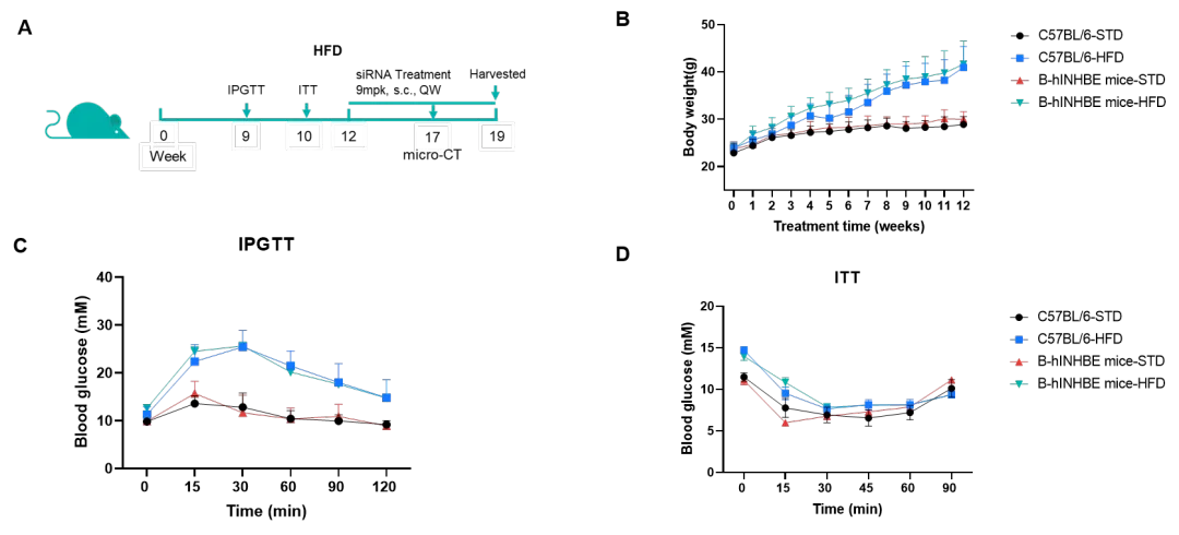 INHBE-1.png
