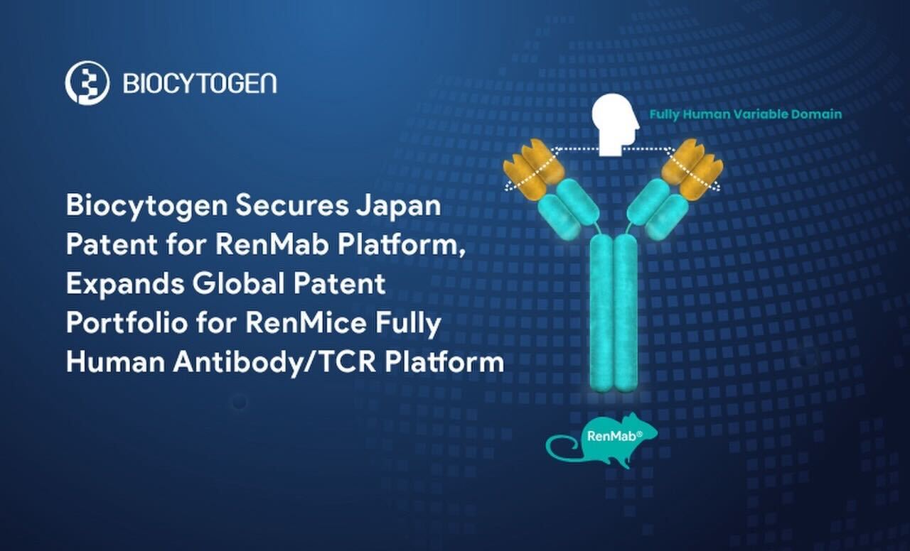 Analysis of the Impact of Biocytogen's H+A Listing Expectations on Its Valuation